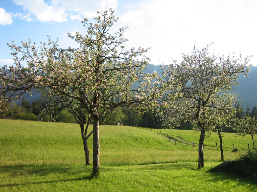 Pension Laerchenbrunn Вестендорф Номер фото